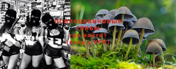 кокс Артём