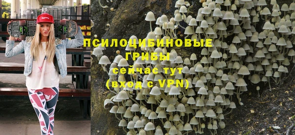 мяу мяу мука Ачинск