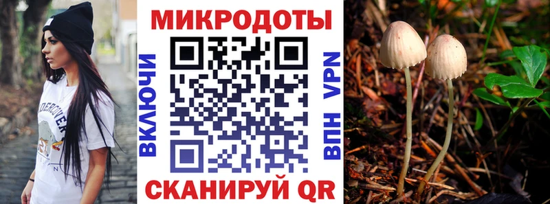 блэк спрут маркетплейс  Дивногорск  Галлюциногенные грибы GOLDEN TEACHER 