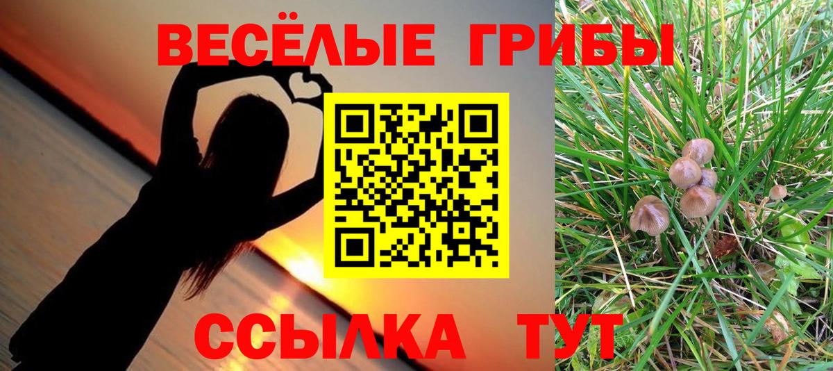 Псилоцибиновые грибы Psilocybine cubensis  Вход с VPN  Псилоцибиновые грибы Psilocybe  Дивногорск 