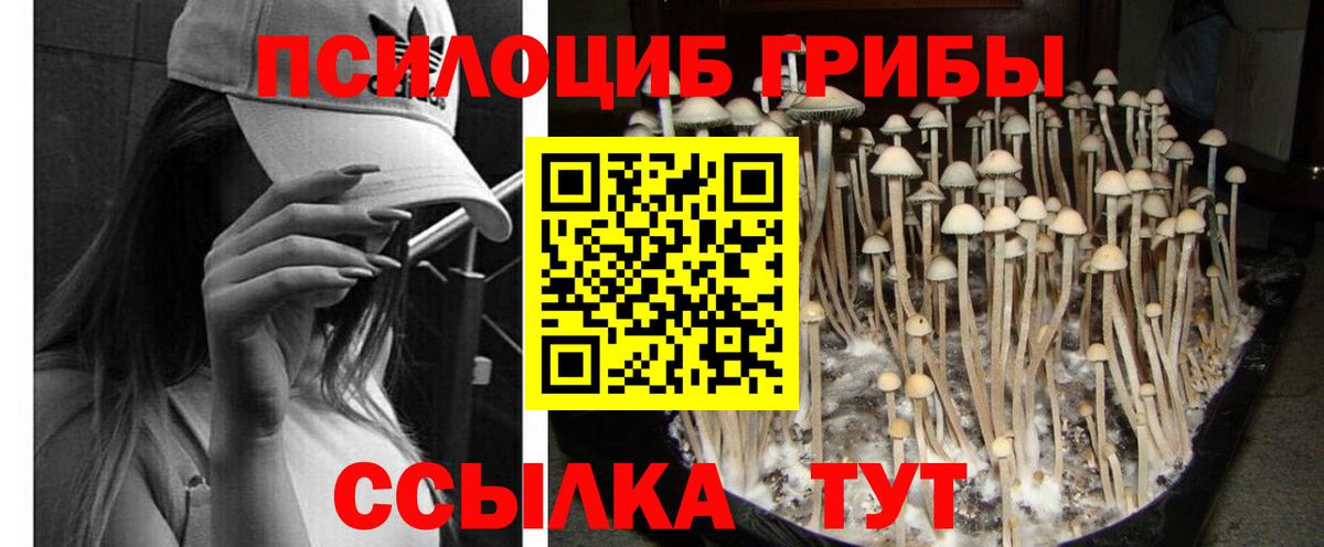Канабис Дивногорск