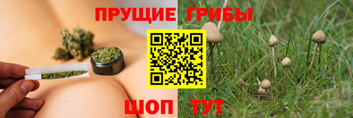 Галлюциногенные грибы MAGIC MUSHROOMS Дивногорск